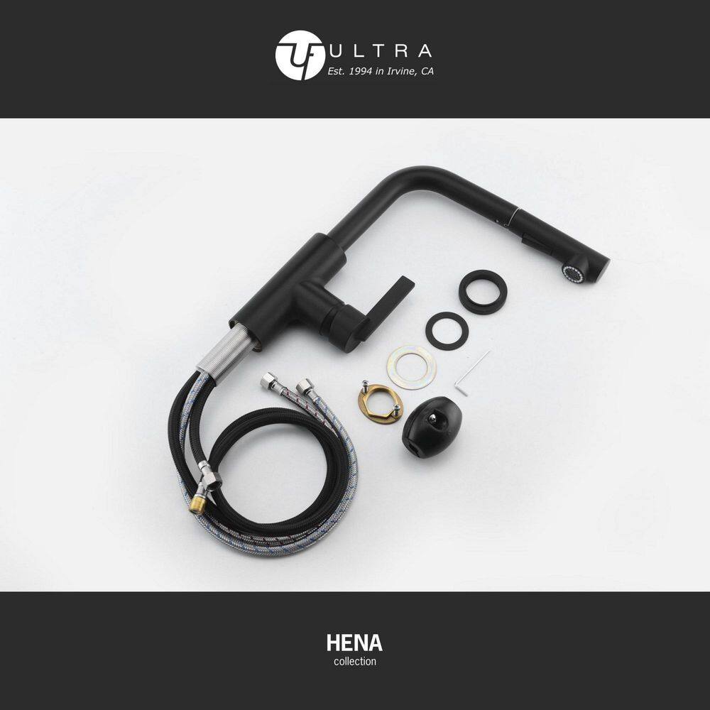 Matte Black Contemporary Pull-Out Kitchen Faucet with Lever Handle