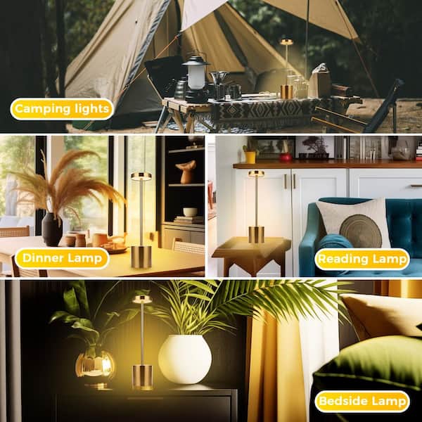 10 in. Gold Cordless Rechargeable Integrated LED Table Lamp, Stepless Brightness Task and Reading Desk Lamps (2-Pack)