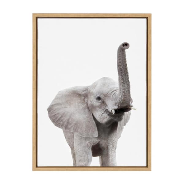 Kate and Laurel Sylvie "Animal Studio Elephant" by Amy Peterson Framed Canvas Wall Art