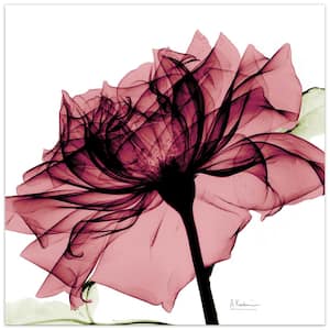 "Chianti Rose I" Frameless Free Floating Tempered Glass Panel Graphic Wall Art