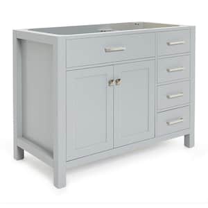 Bristol 42 in. W x 21.5 in. D x 34.5 in. H Freestanding Bath Vanity Cabinet without Top in Grey