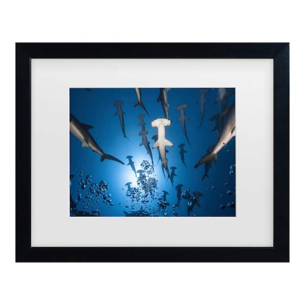 Trademark Fine Art Barathieu Gabriel Hammerhead Shark Matted Framed Photography Wall Art 18 in. x 22 in.