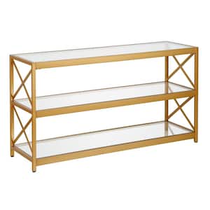 Hutton 48 in. Brass Finish TV Stand Fits TVs up to 50 in.
