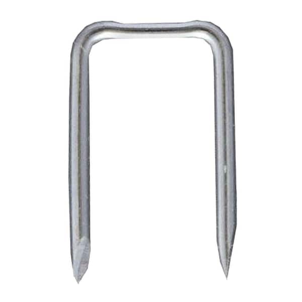 Briscon 1 in. x 1/2 in. Zinc-Plated Steel Staples (500-Pack)
