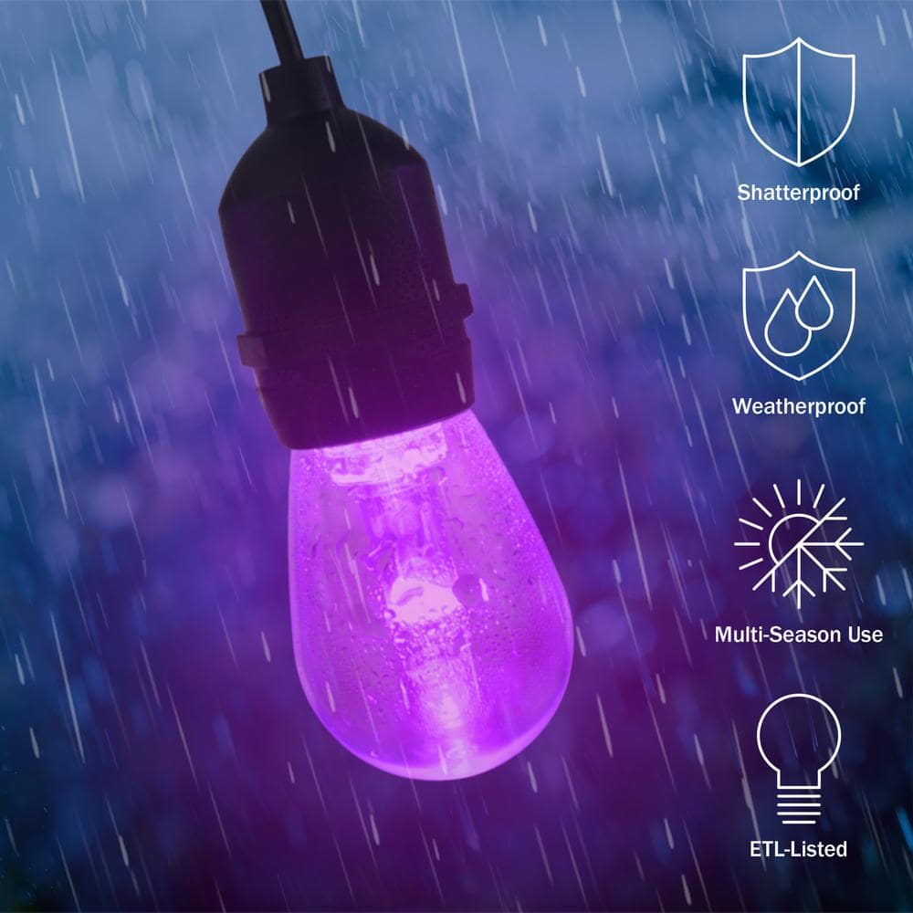 50ft Multi-Colored LED Outdoor String Lights with Remote