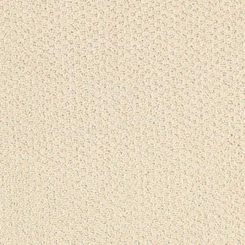 8 in. x 8 in. Pattern Carpet Sample - Katama II -Color Fresh Linen price history on PriceWatchPro