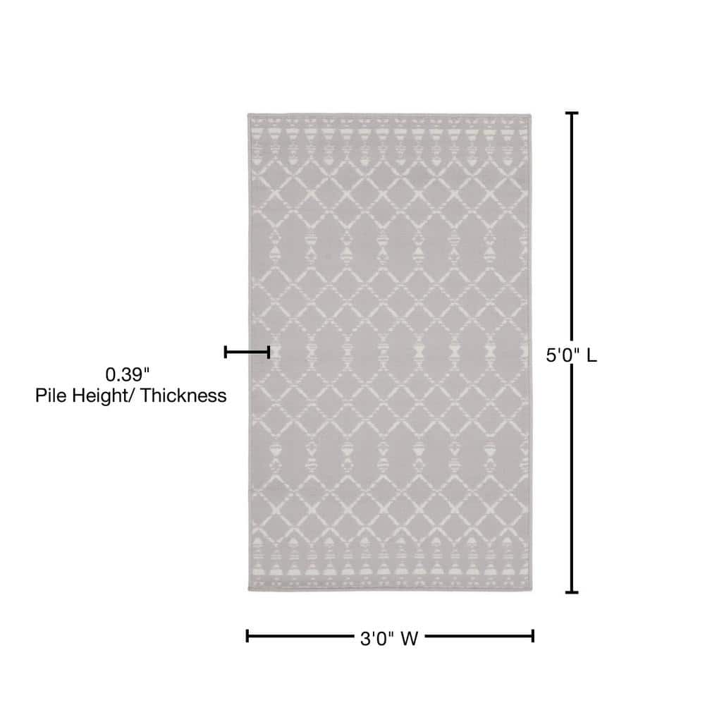 Gray Geometric Boho Chic 3' x 5' Area Rug
