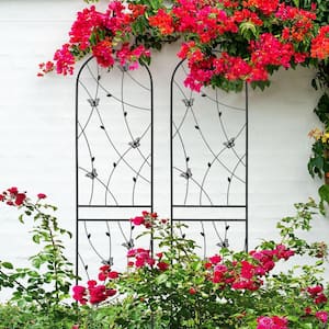 2-Pack 7.2 ft. Black Outdoor Metal Rustproof Rose Garden Trellis