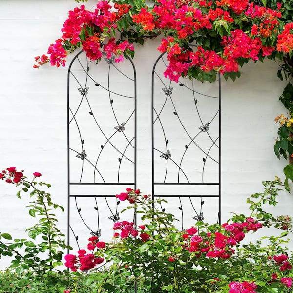 7.2 ft. Black Outdoor Metal Rustproof Rose Garden Trellis, (2-Pack)