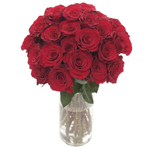 GlobalRose Fresh Pink Roses Bulk (100 Stems)