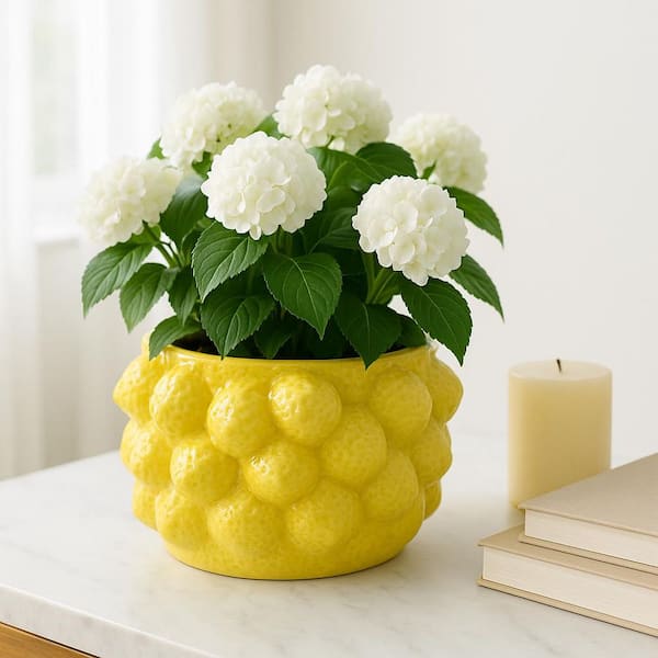 Liv & Skye Yellow Ceramic Round Lemons Flower Decorative Planter