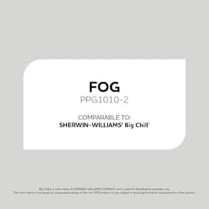 Fog PPG1010-2 Paint - Comparable to SHERWIN WILLIAMS' Big Chill
