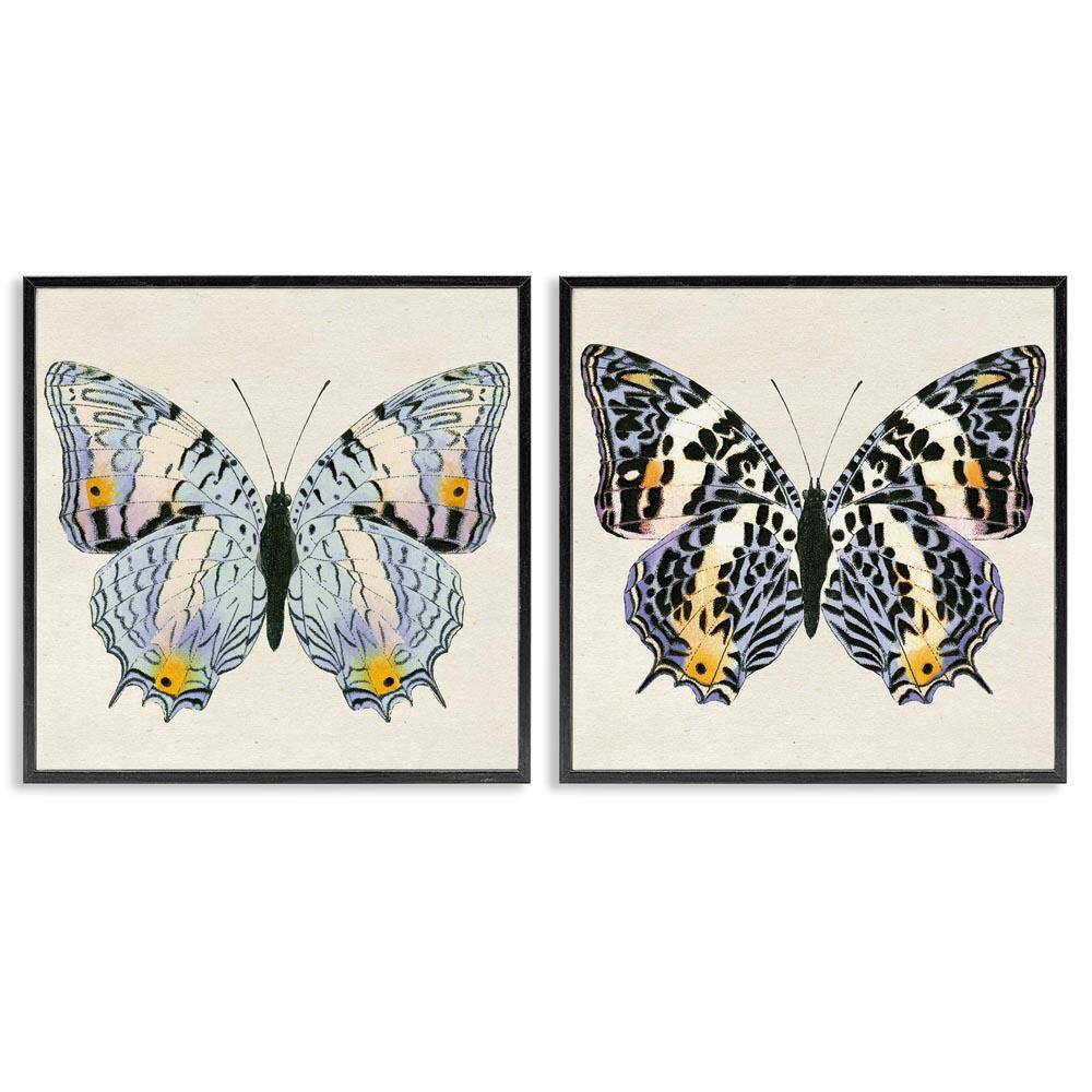 Butterflies with Yellow Details by Susan Arnot 2-Pieces Black Framed Animal Giclee Art Print 24 in. x 24 in. price history on PriceWatchPro