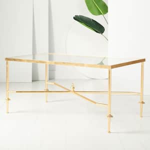 Devi 24 in. Gold Rectangle Glass Coffee Table