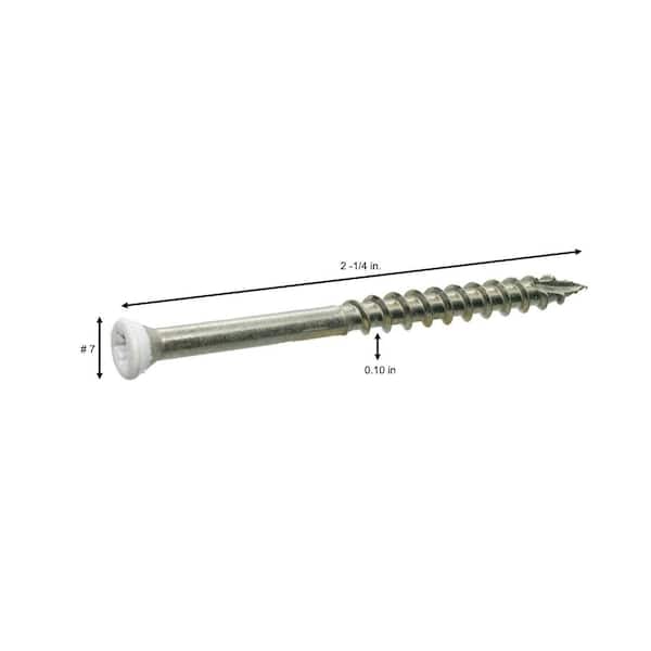 #7 x 2-1/4 in. 305 Stainless Steel Star Drive White Painted Trim Head Wood Screws 1 lb. Box