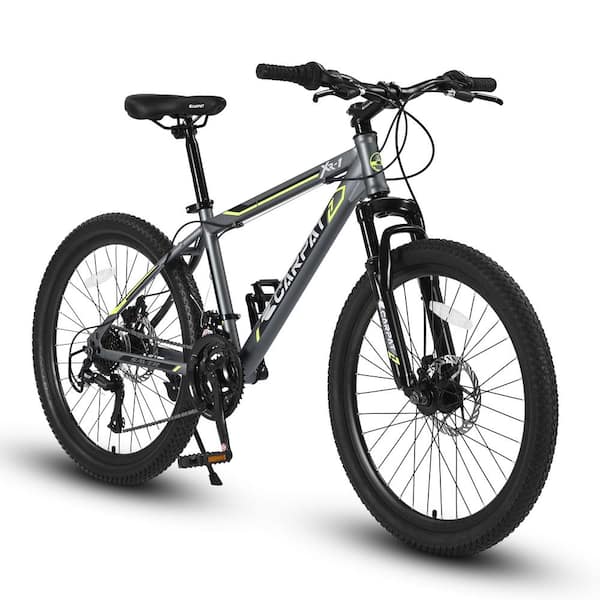 21 frame mountain bike online