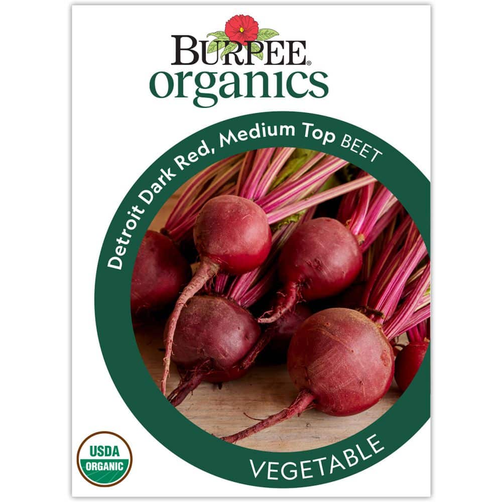 Burpee Garden Organic Beet Detroit Dark Red Medium Top Vegetable Seed ...