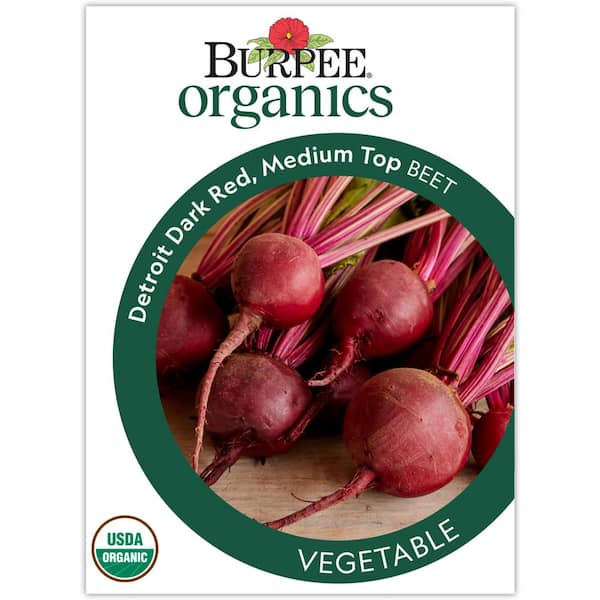 Organic Beet Detroit Dark Red Medium Top Vegetable Seed