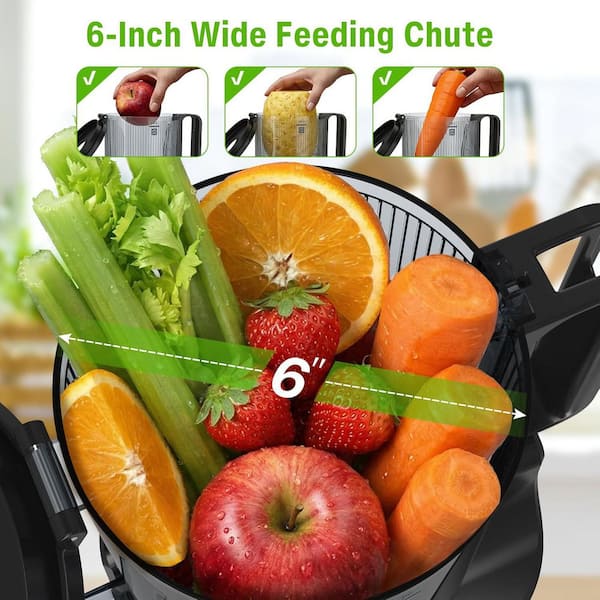 Anybear Cold Press Juicer, 200W Masticating Slow Juicer 4.3 in