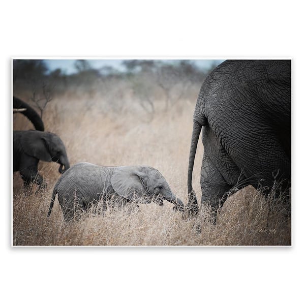 Stupell Industries Baby Elephant Strolling by Sharon Vardy Unframed Animal Graphic Art Print 10 in. x 15 in.