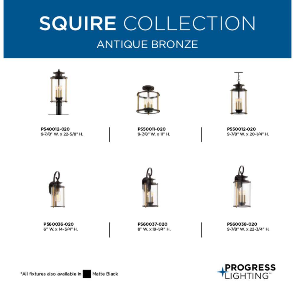 Antique Bronze and Glass 3-Light Indoor/Outdoor Pendant
