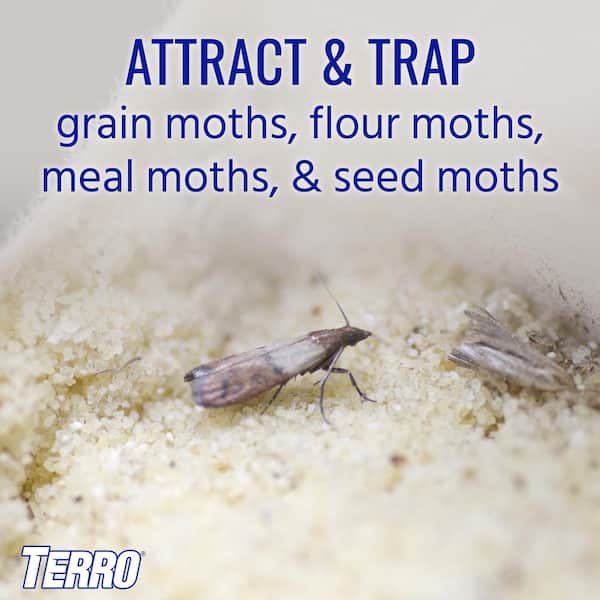 Natural Indoor Clothes Moth Trap (4-Count)