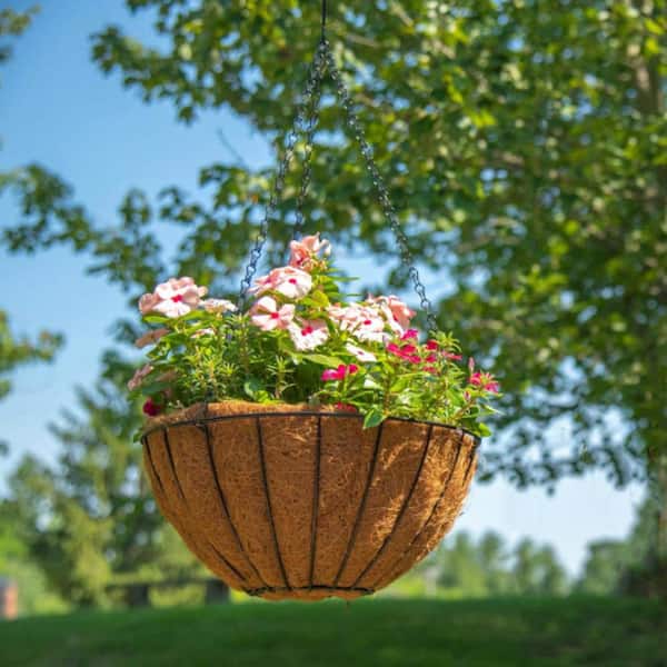 14 in. Dia Black Metal Growers Hanging Basket with Coco Liner