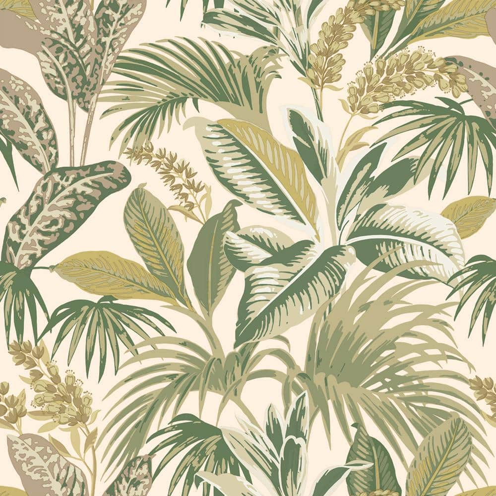 Tempaper Havana Palm Tropical Green Removable Peel and Stick Wallpaper ...