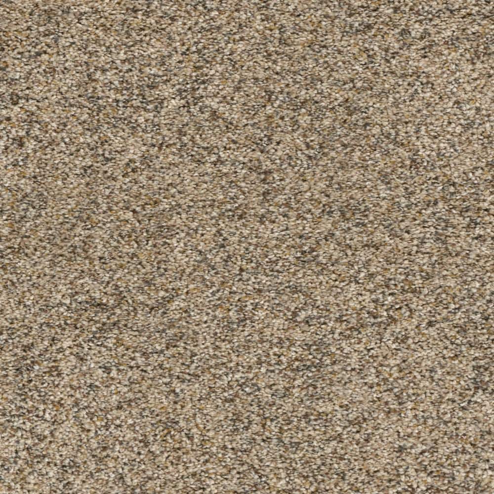 8 in. x  8 in. Texture Carpet Sample - Whispers -Color Broadcast price history on PriceWatchPro