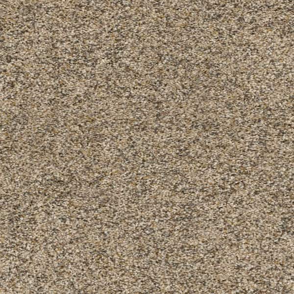 Home Decorators Collection 8 in. x  8 in. Texture Carpet Sample - Whispers -Color Broadcast