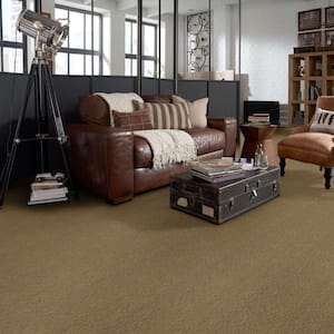Recognition I - Perennial - Brown 24 oz. Nylon Pattern Installed Carpet