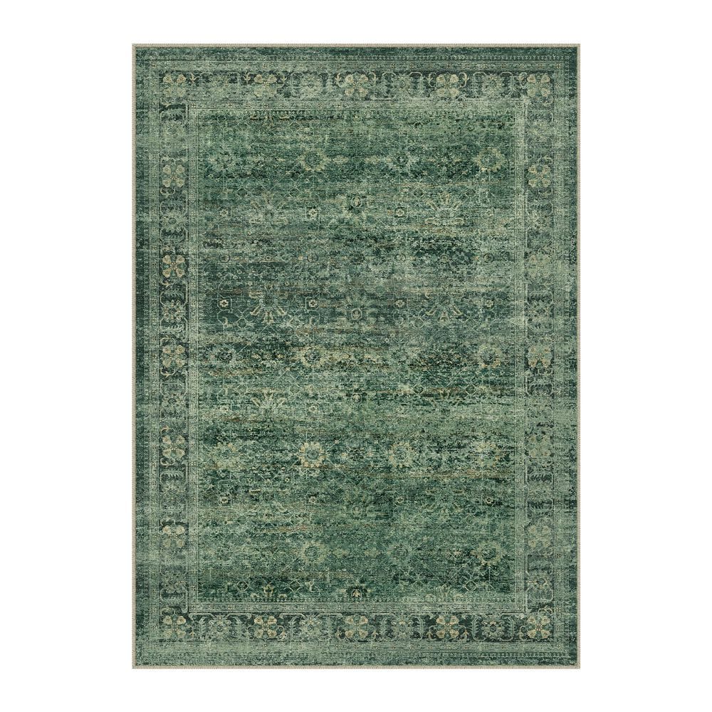 Oasis Secret Green 5 ft. x 7 ft. Distressed Vintage Floral Area Rug price history on PriceWatchPro