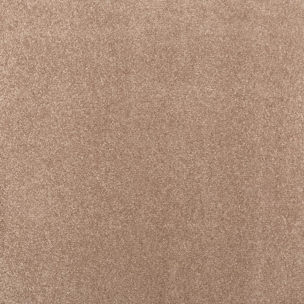 Lifeproof with Petproof Technology Waking Up II Embrace Brown 56 oz. Triexta Textured Installed Carpet