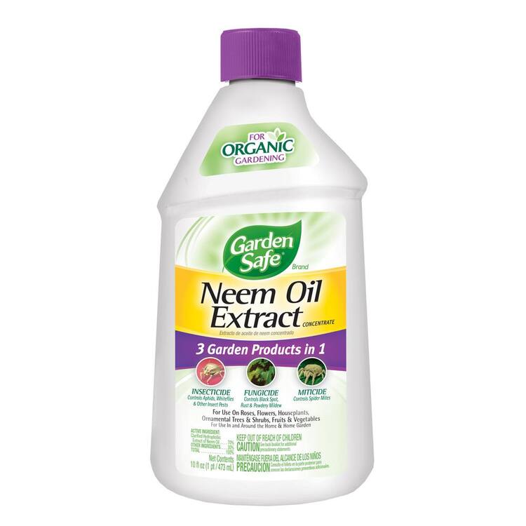 Garden Safe 10 oz. Neem Oil Extract Concentrate Insect Killer