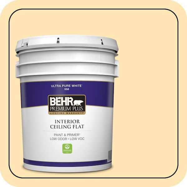 5 gal. #P260-3 Vanilla Ice Cream Ceiling Flat Interior Paint & Primer