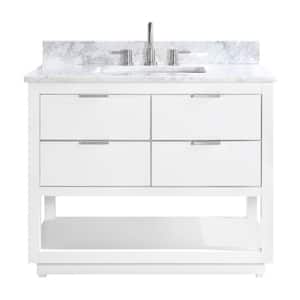 Allie 43 in. W x 22 in. D Bath Vanity in White with Silver Trim with Marble Vanity Top in Carrara White with White Basin