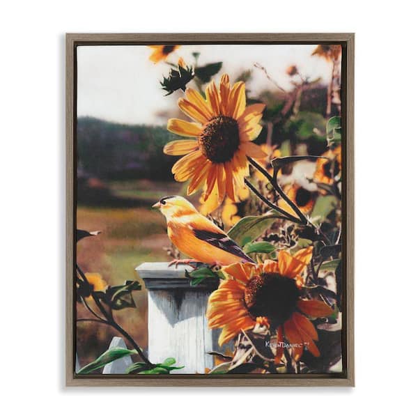 Stupell Industries Canary Bird and Sunflowers by Kevin Daniel Brown Floater Frame Nature Graphic Art Print 21 in. x 17 in.