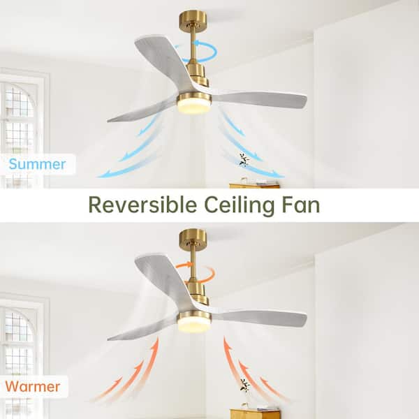 Jushua 52 in.Indoor Gold Ceiling Fan With Dimmable Led Light