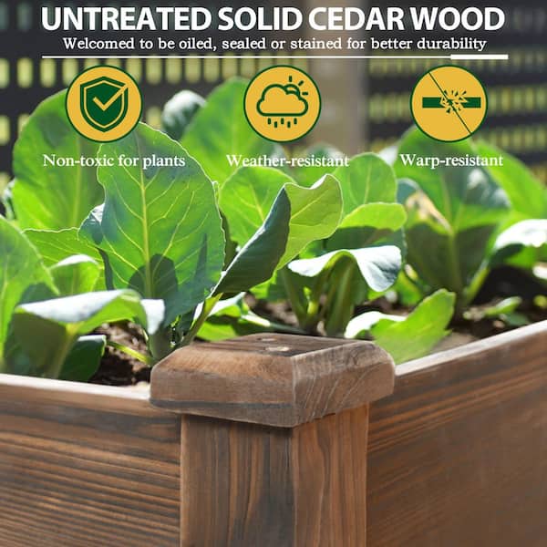 48 in. L x 24 in. W x 30 in. H Carbonized Raised Garden Bed with Liner