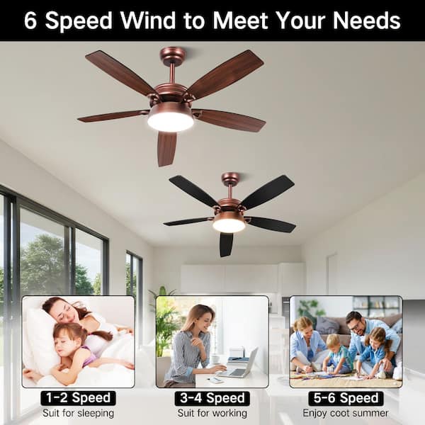 48 in. Indoor/Covered Outdoor Oil-Rubbed Bronze Ceiling Fan with Light Kit and Remote Control