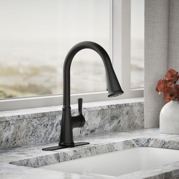 Tyne Single-Handle Pull-Down Sprayer Kitchen Faucet in Matte Black