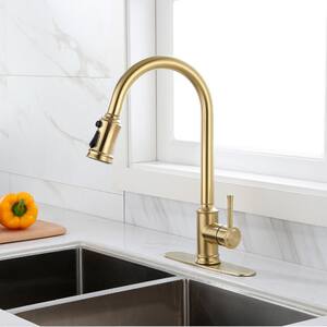 Heidi Single-Handle Deck Mount Pull Down Sprayer Kitchen Faucet with Deckplate Included and Handles in Gold