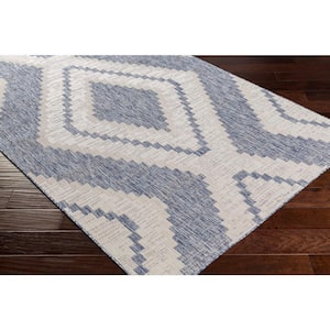 Karem Blue 5 ft. x 7 ft. Indoor/Outdoor Area Rug