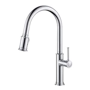 Sellette Single-Handle Pull-Down Sprayer Kitchen Faucet with Dual Function Sprayhead in Chrome