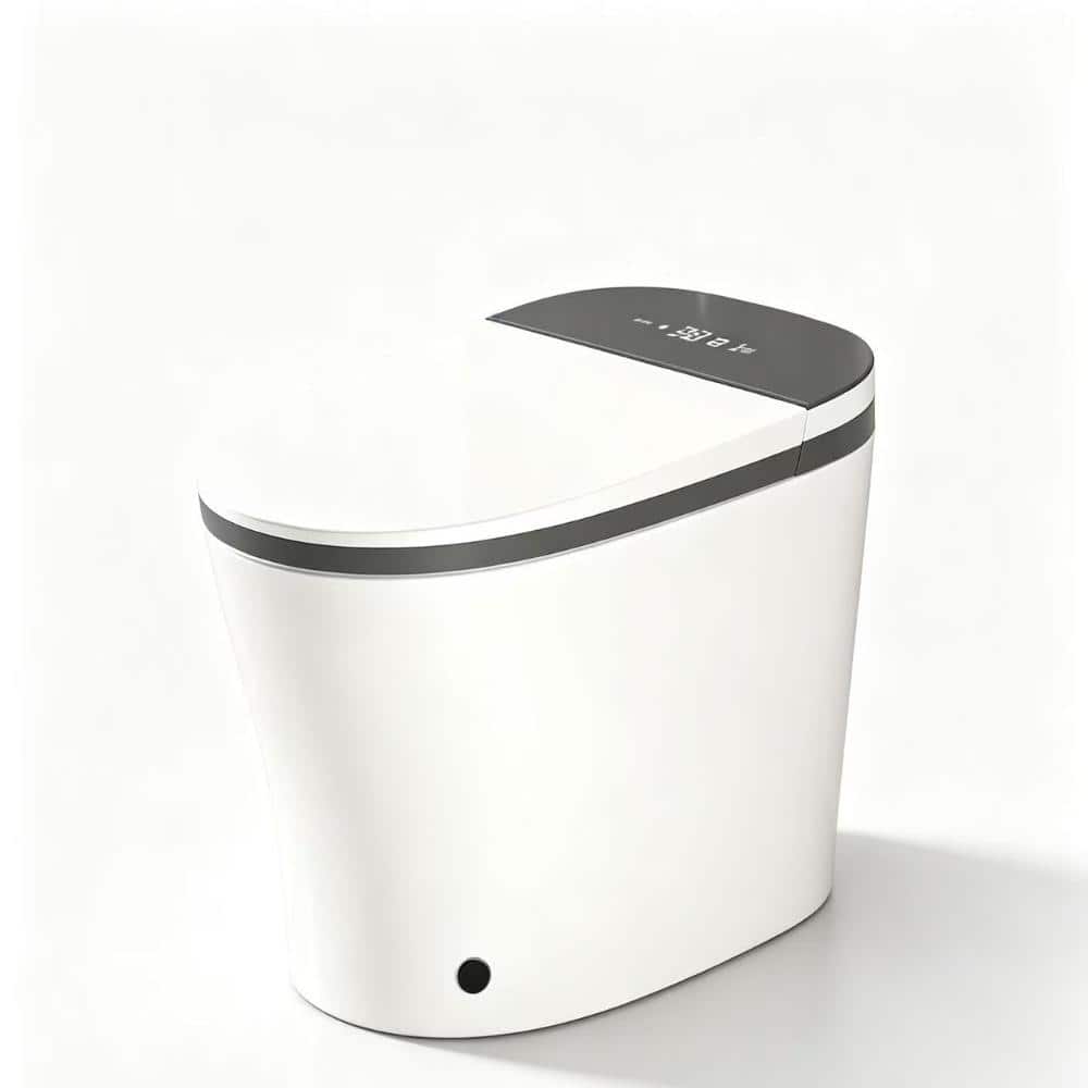 ADA Smart Bidet One-Piece Toilet, White with Grey Trim, Auto Flush, Heated Seat, Front & Rear Wash price history on PriceWatchPro