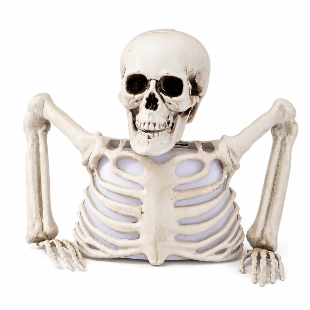 Halloween Decorations Indoor price history on PriceWatchPro
