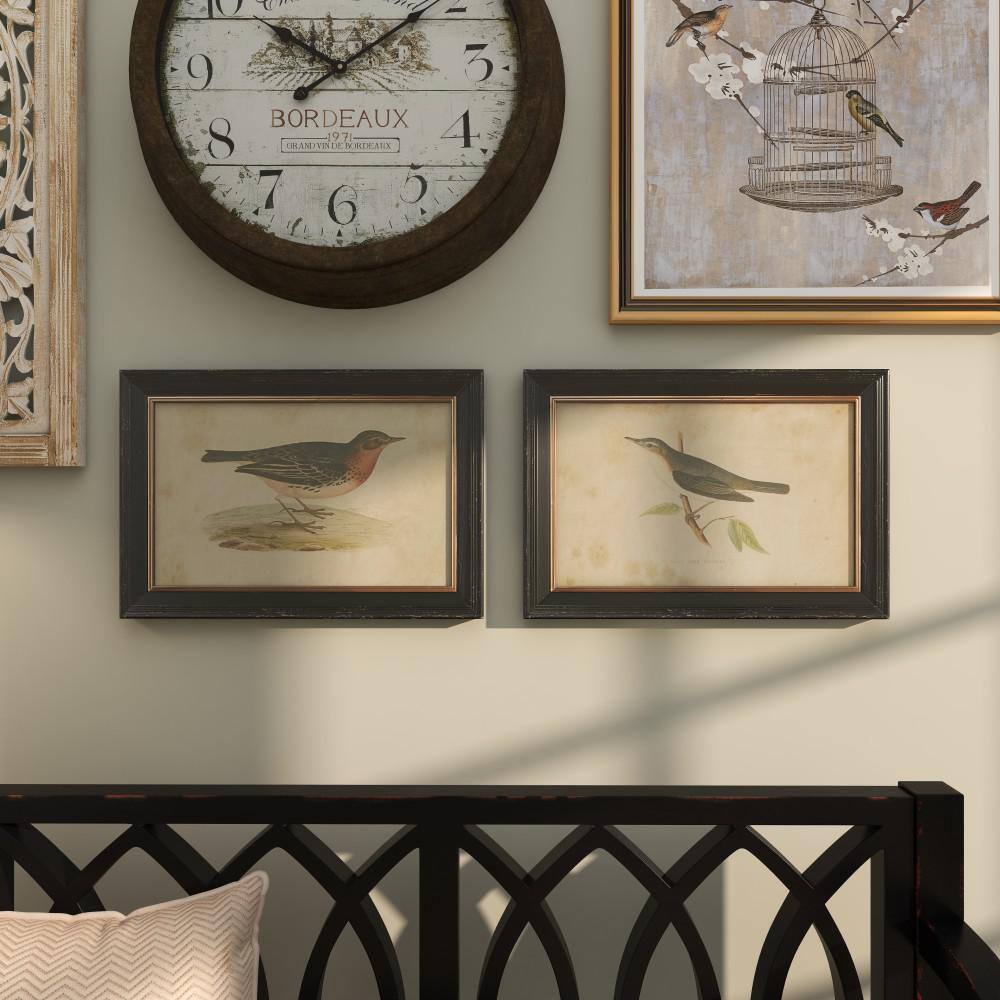 Black Framed Bird Print Wall Art Set, 20" x 14"