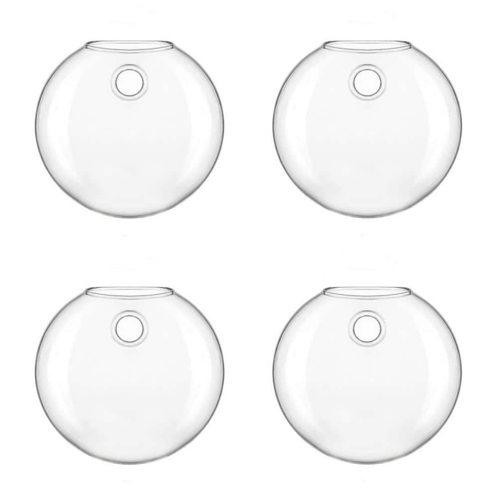 Angel Sar Wall Hanging Glass Planter Oblate Flower Vase for