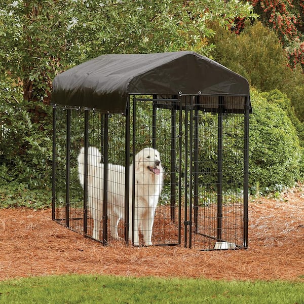 6 ft. H x 4 ft. W x 8 ft. L Welded Wire Black Painted Outdoor Dog Kennel