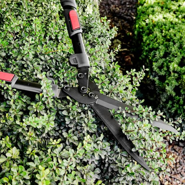 3 Uses For Hedge Shears In Your Garden